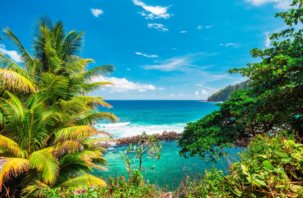 location de vacances l'ile de la réunion