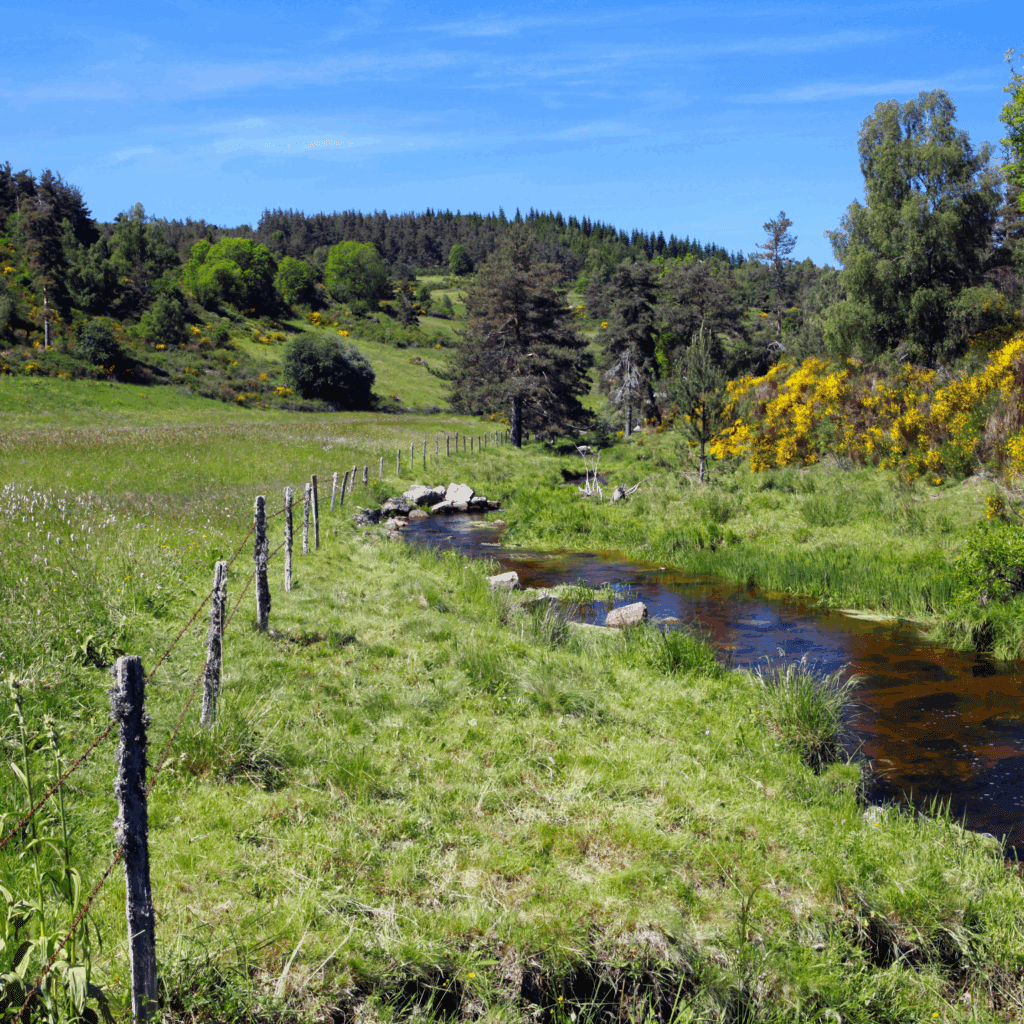 Location courte durée dans le Cantal