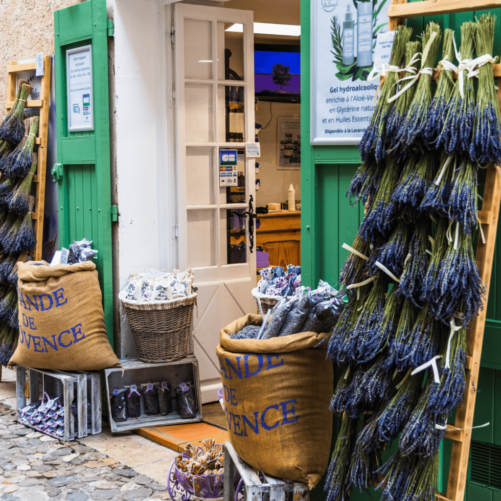 Location courte durée dans les Alpes-de-Haute-Provence