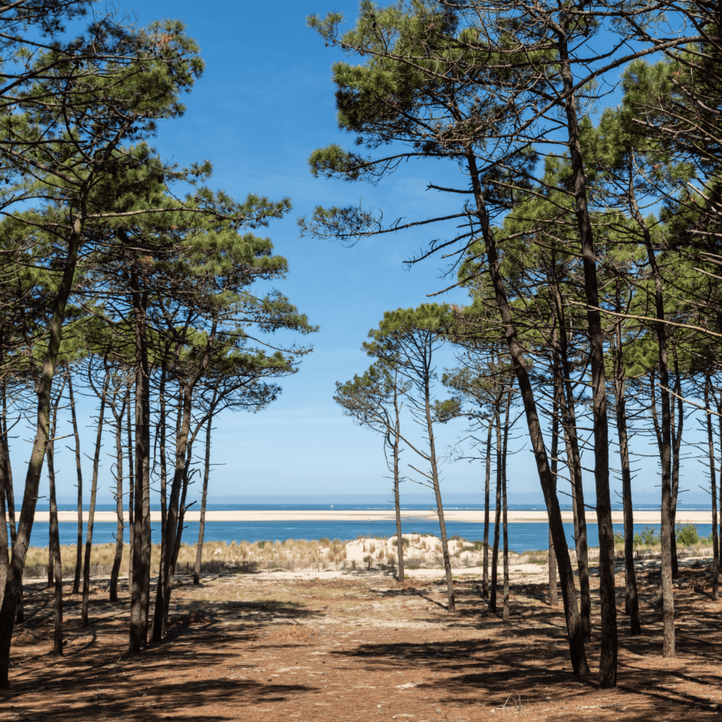 Location courte durée dans les Landes