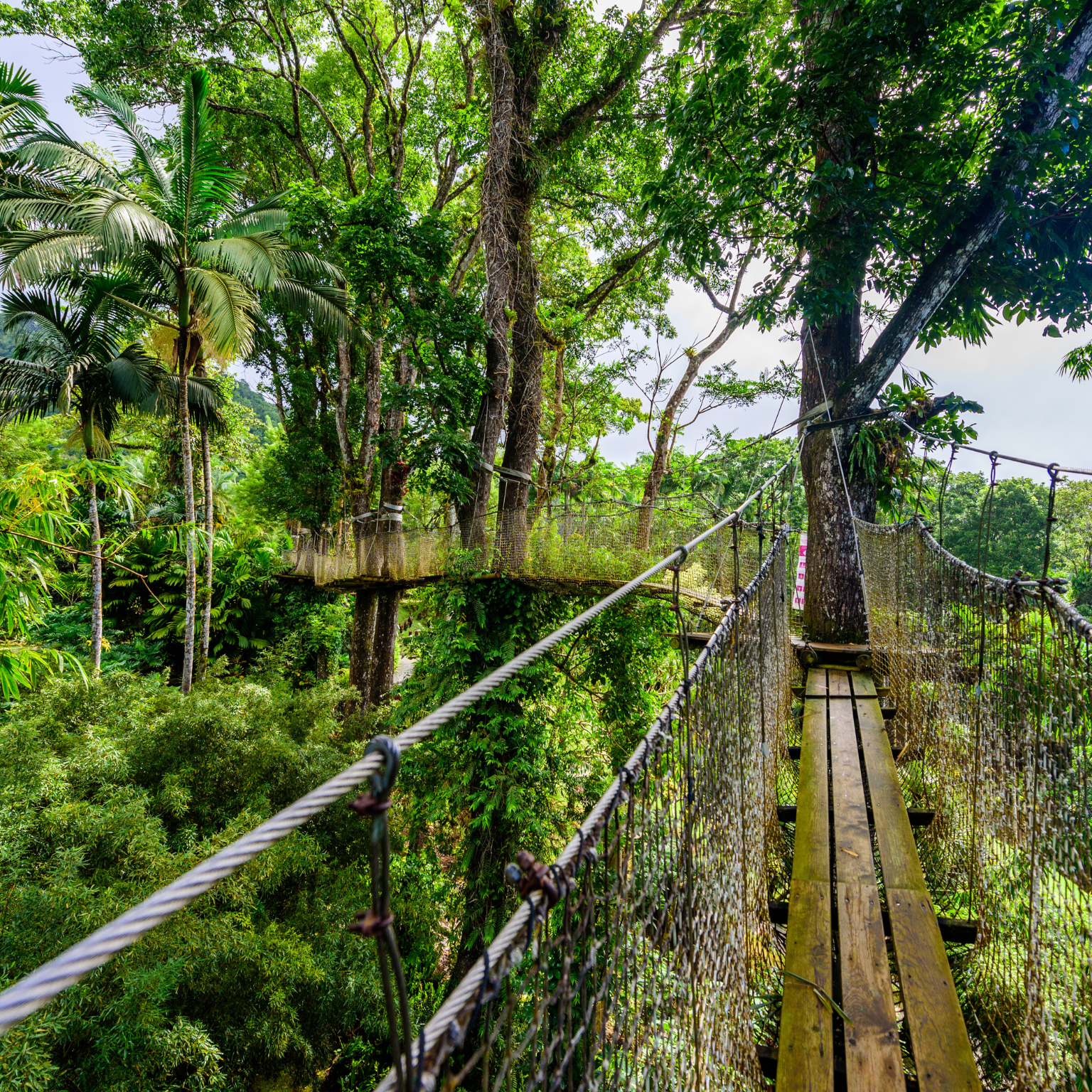 location de vacances conciergerie en Martinique