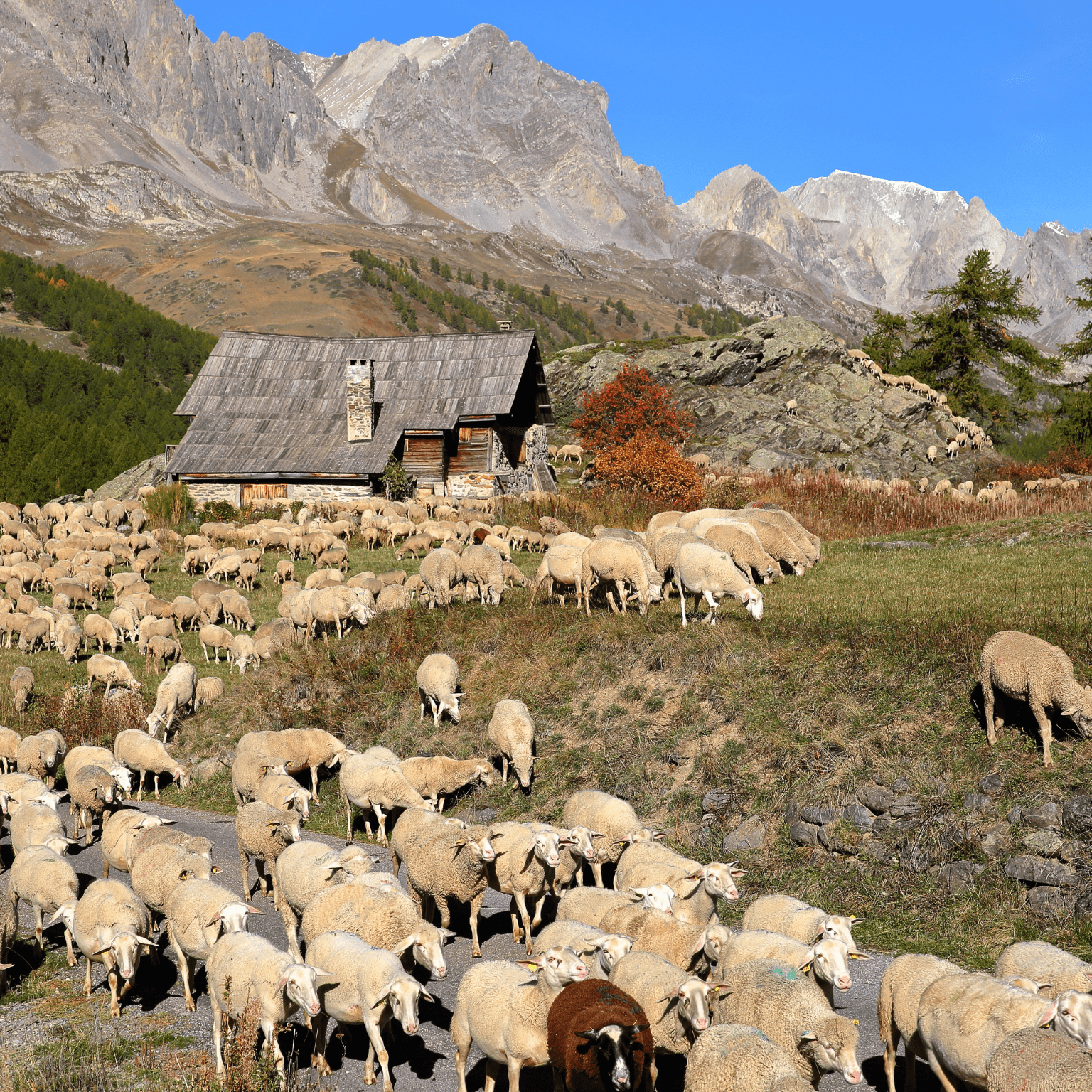 conciergerie location de vacances dans les hautes alpes