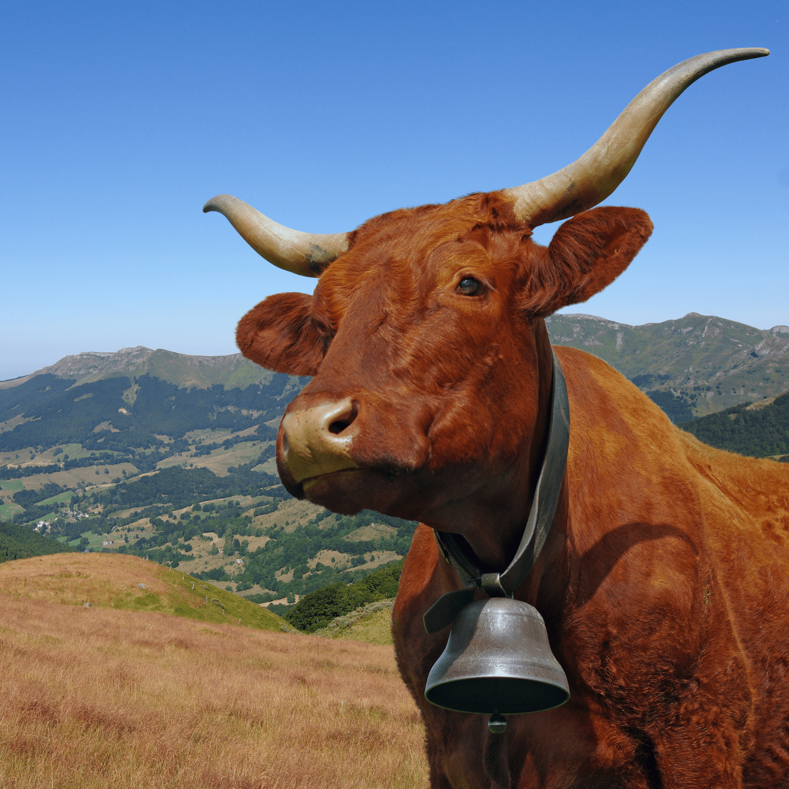 conciergerie location de vacances dans le Cantal