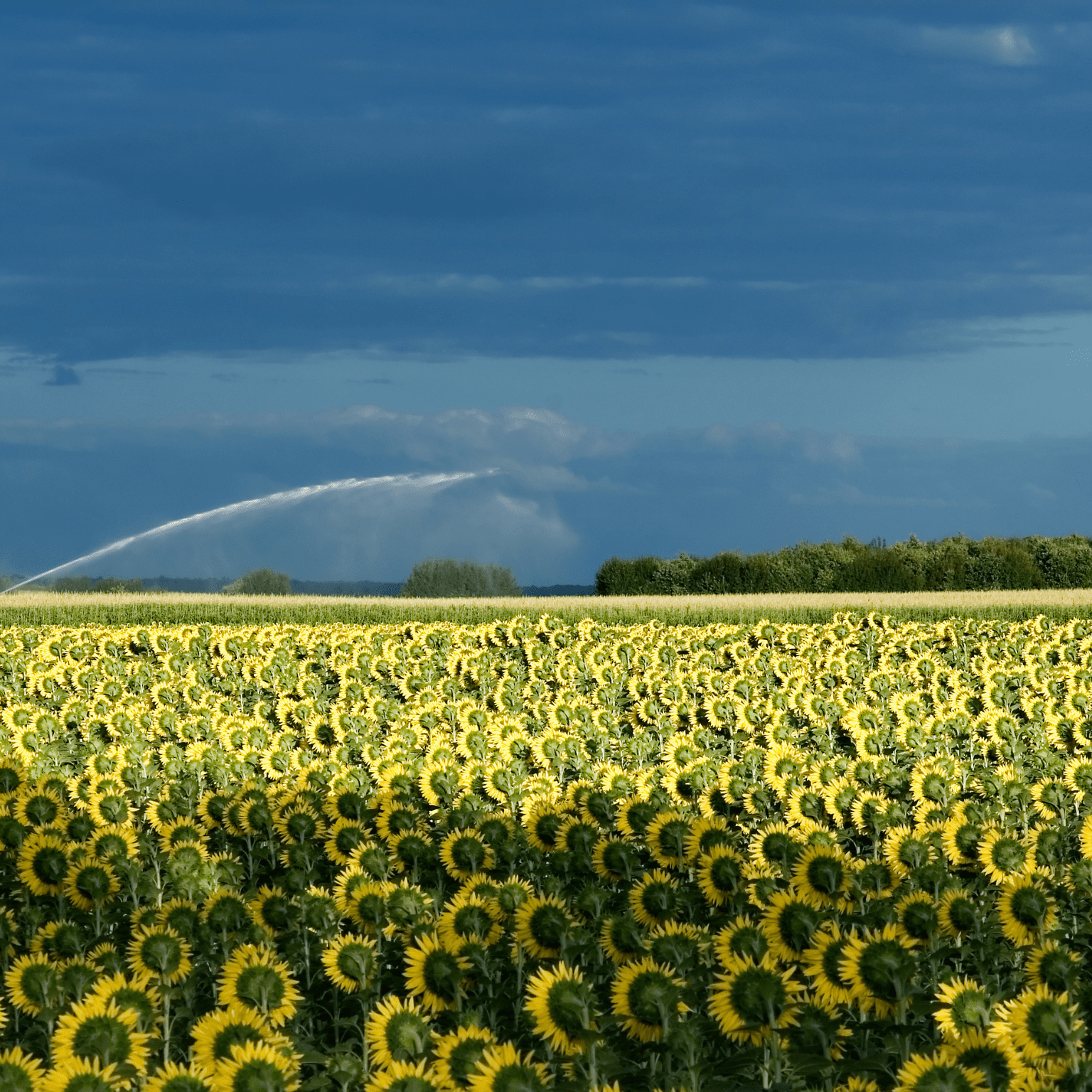 location de vacances conciergerie en Charente