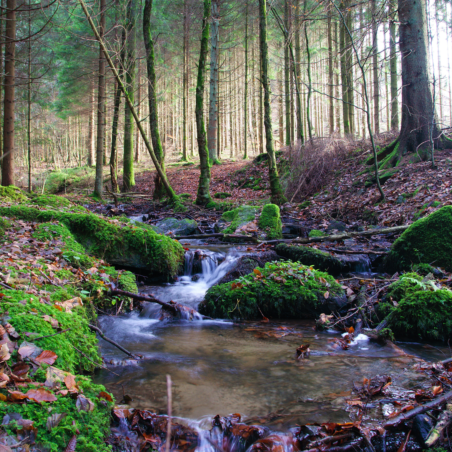 Location de vacances et conciergerie courte durée dans les Ardennes