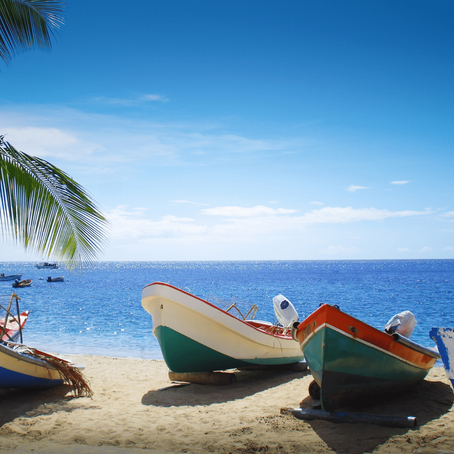 location de vacances conciergerie en Martinique