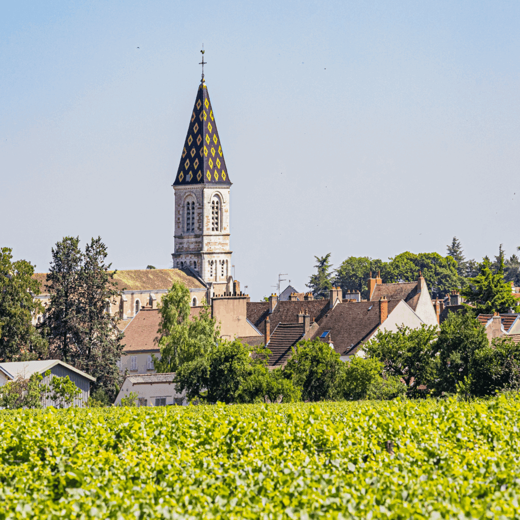 Location courte durée dans la Côte-d'Or