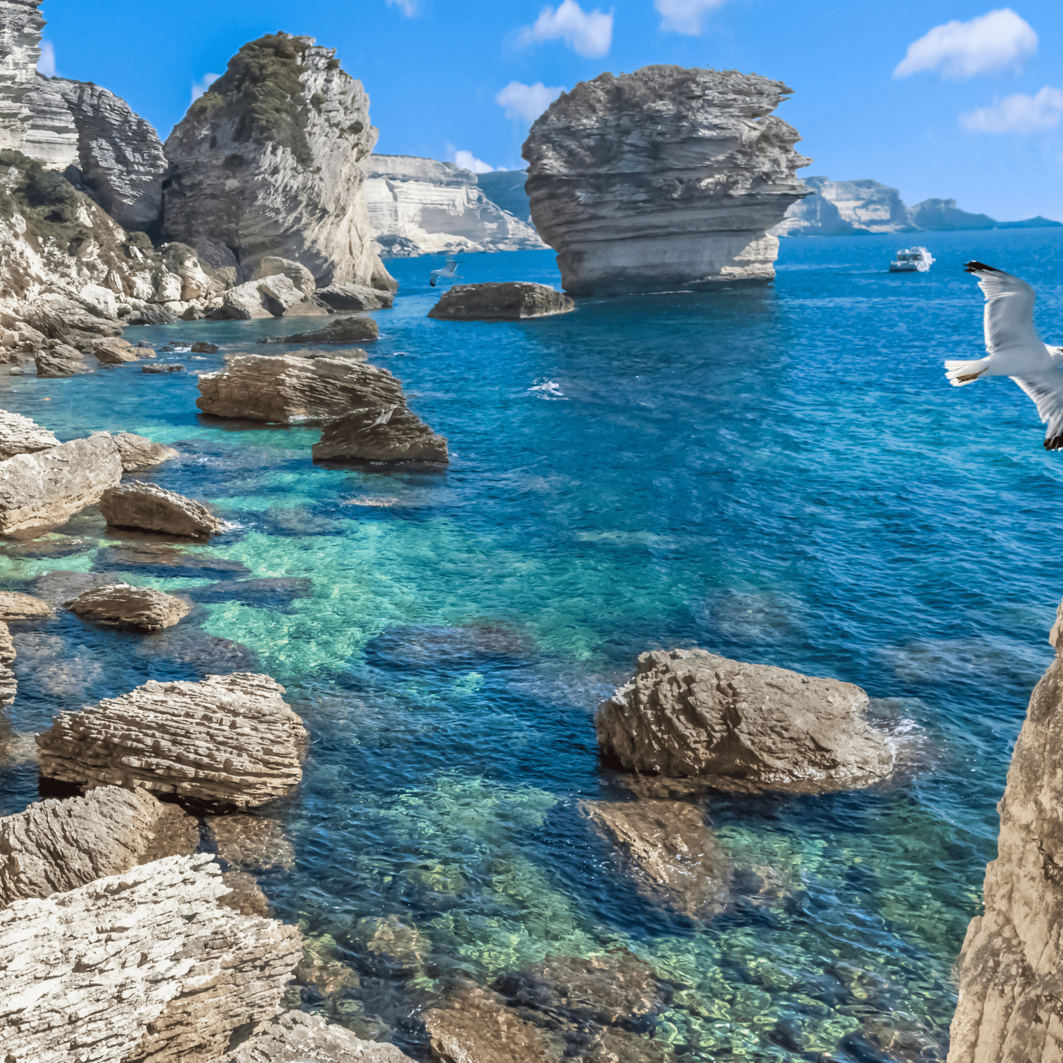 location de vacances - location courte durée Corse du Sud - Ajaccio, Bonifacio