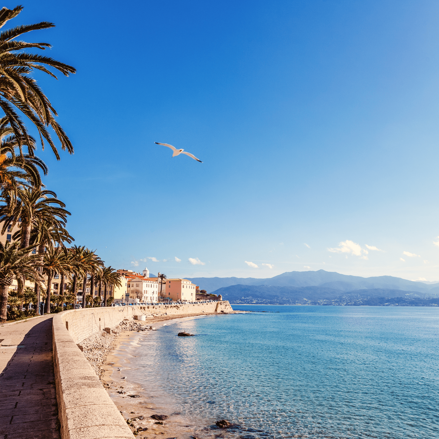 location de vacances - location courte durée Corse du Sud - Ajaccio, Bonifacio
