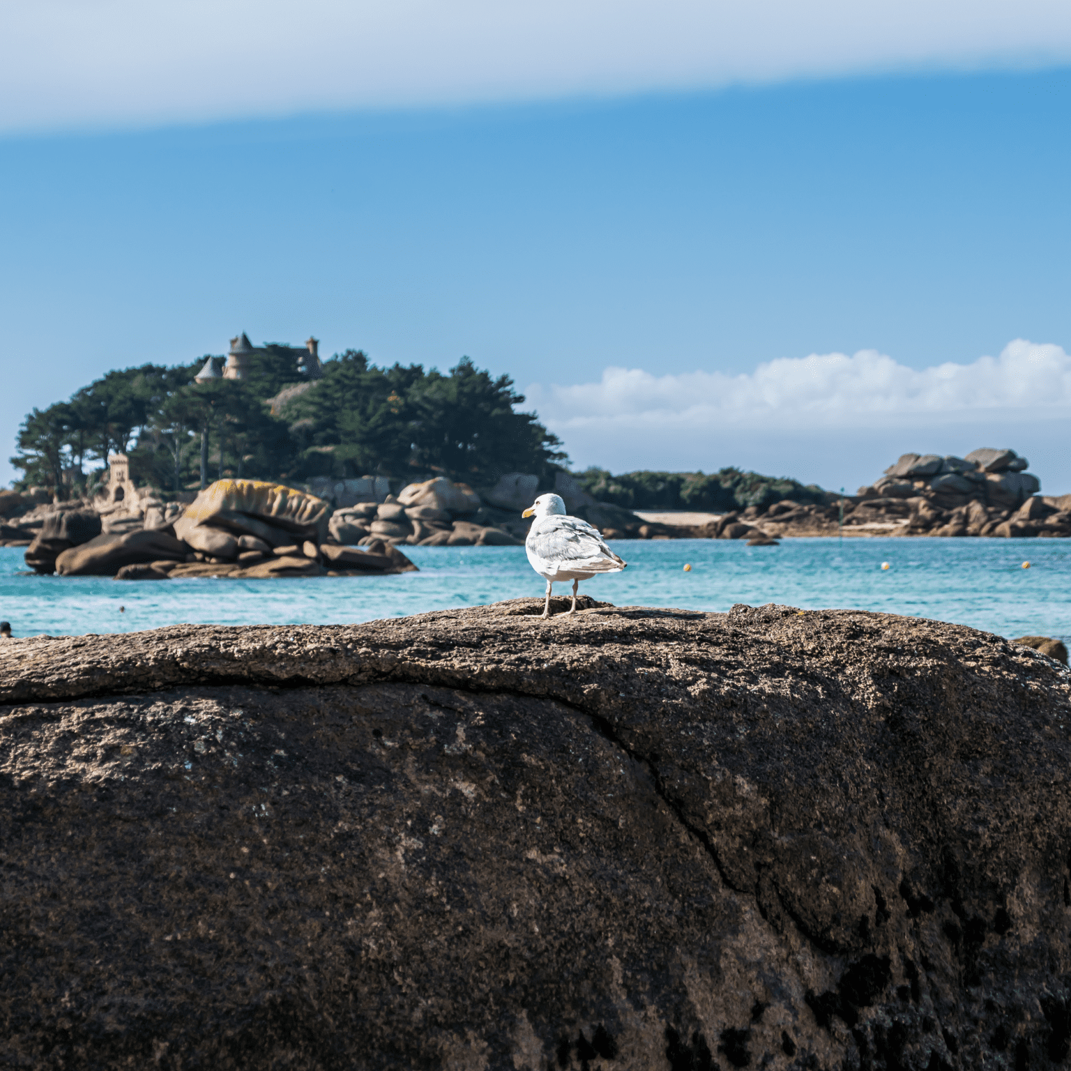 conciergerie location de vacances dans la côtes d'amor