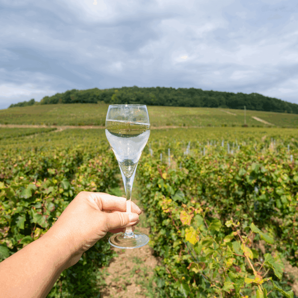 Location courte durée dans la Marne