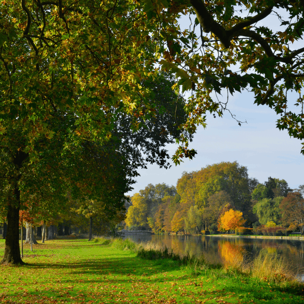 Location courte durée dans l'Oise