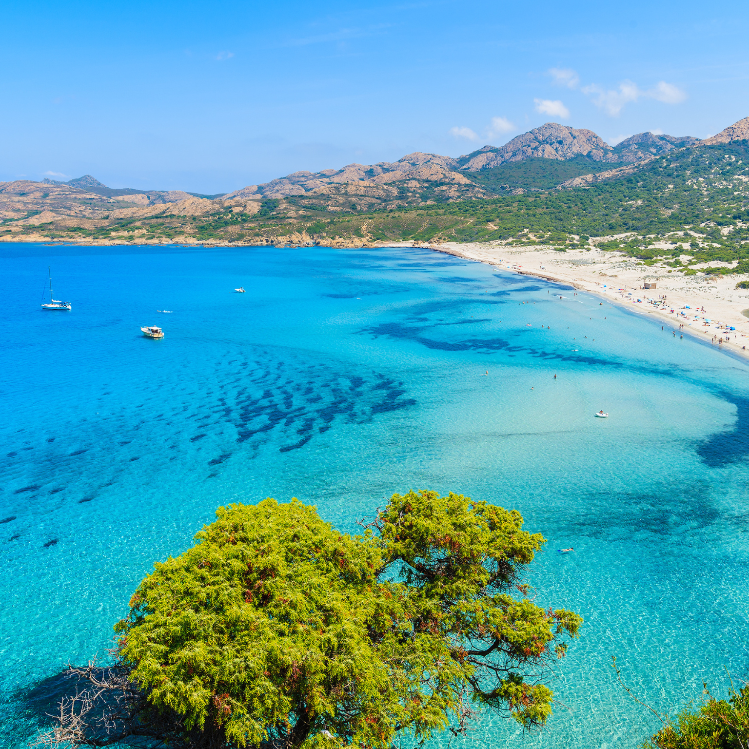 conciergerie location de vacances en haute corse - bastia- calvi