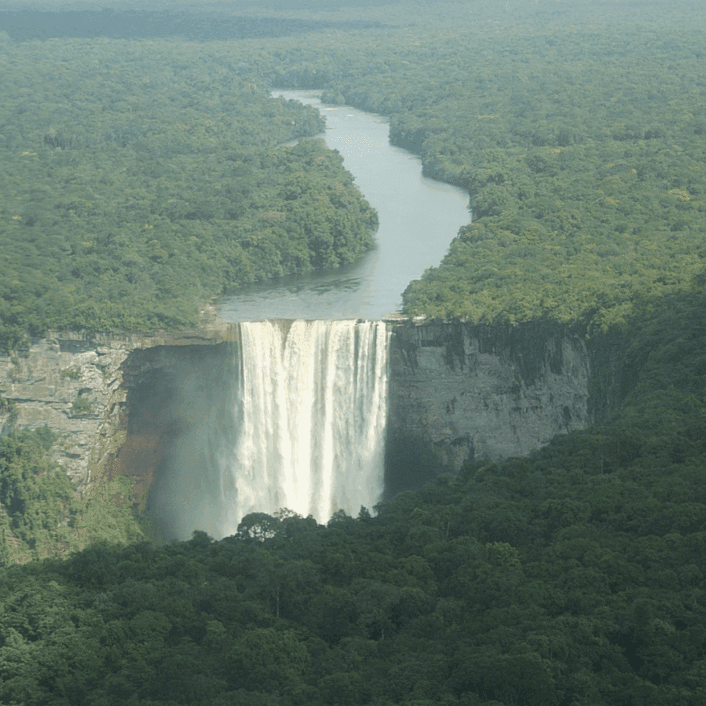 Location courte durée en Guyane