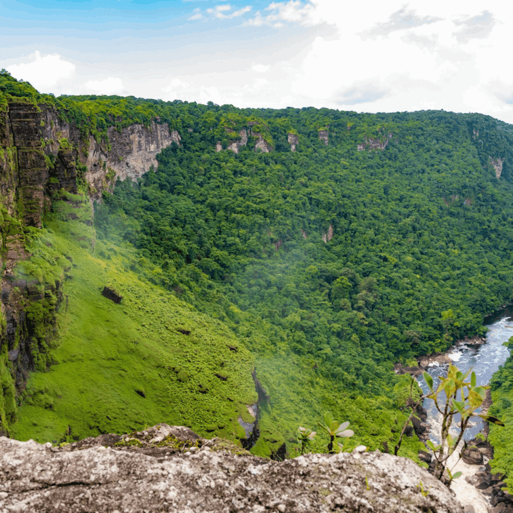 Location courte durée en Guyane