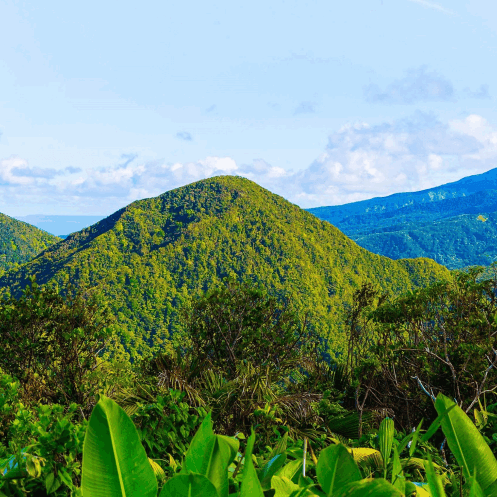 Location courte durée en Guadeloupe