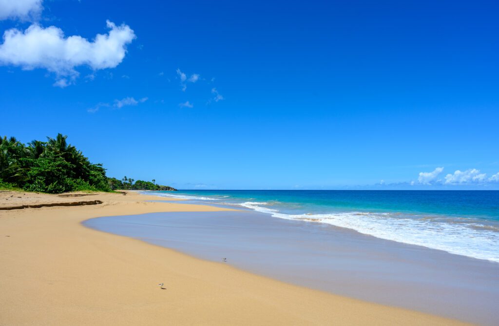 Anse de la Perle Conciergerie en guadeloupe